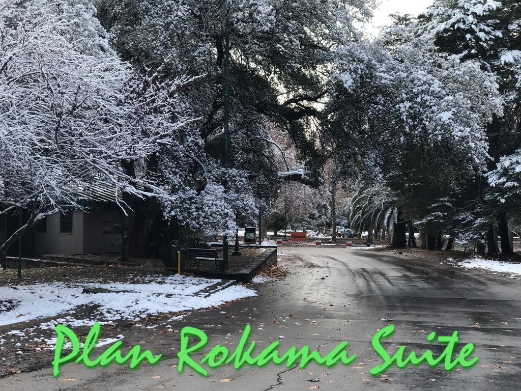 Plan Rokama Suite 586 Μεντόζα Εξωτερικό φωτογραφία